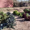 Expert Tips for Preventing Soil Erosion in Your Pinal County, Arizona Garden
